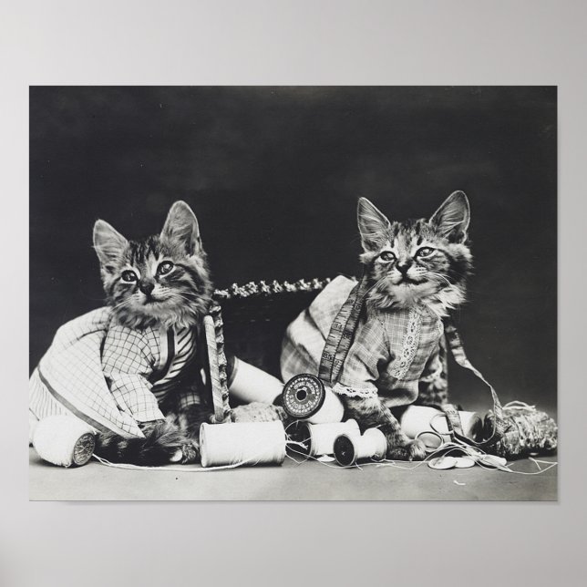 Poster Kitten Mishead Makers 1914 (Frente)