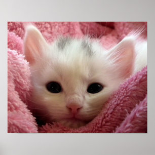Poster Kitten quente num cobertor