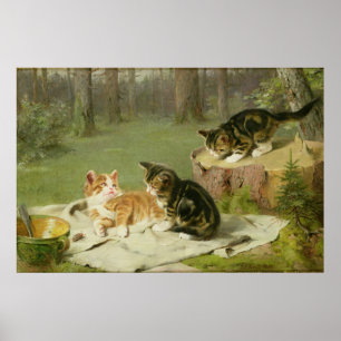 Poster Kittens Playing