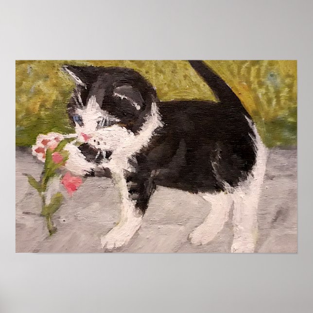 Poster Kitty Brincando com Flor Rosa (Frente)