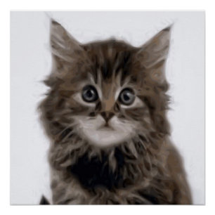 PÓSTER KITTY CAT