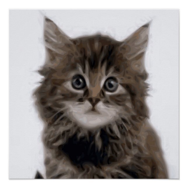 PÓSTER KITTY CAT (Frente)