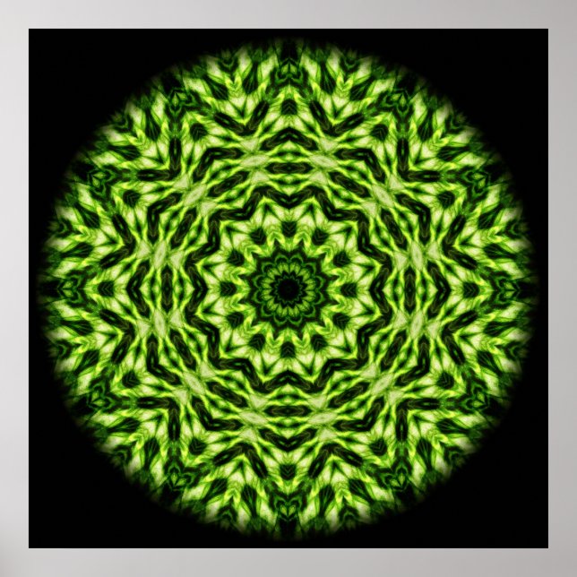 Póster Kiwi Kaleidoscope (Frente)