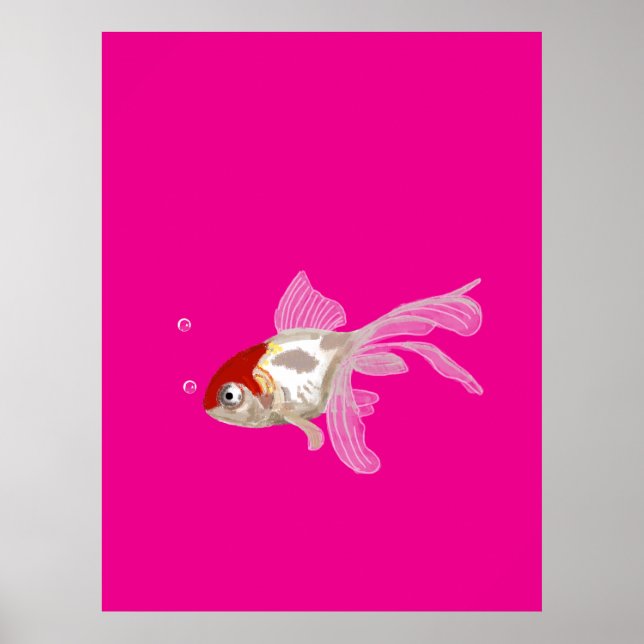 Poster Kleiner Goldfisch -  (Frente)