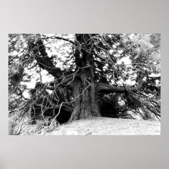 Poster Knowledge (Frente)