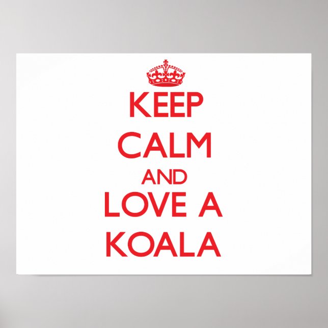 Poster Koala (Frente)