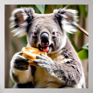 Poster Koala australiana e bonita come torta de carne