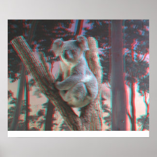 Poster Koala Fotogênica Posse para a Câmera em 3D