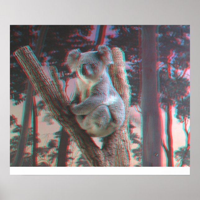 Poster Koala Fotogênica Posse para a Câmera em 3D (Frente)