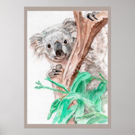 Poster Koala, Peek-a-Boo