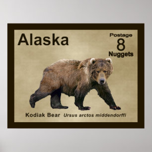 Póster Kodiak Bear