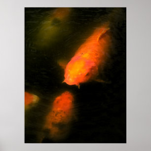 Poster Koi