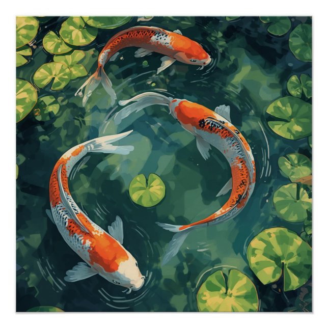 PÓSTER KOI FISCH ANIMALS (Frente)