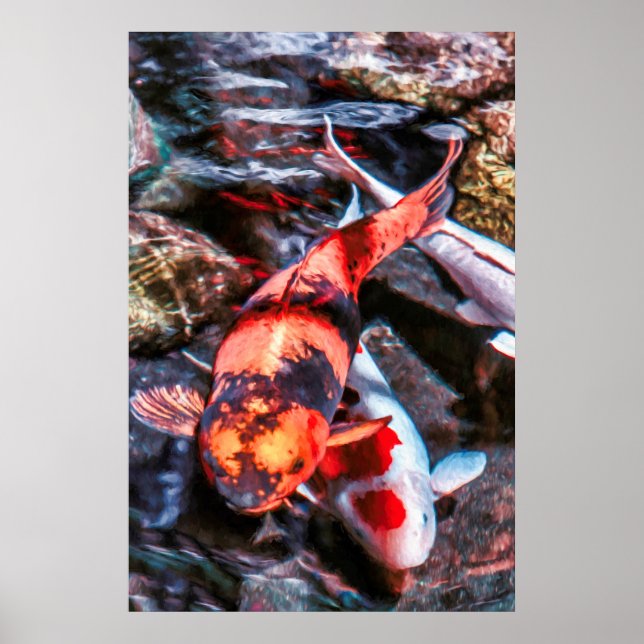 POSTER KOI FISH DUET (Frente)