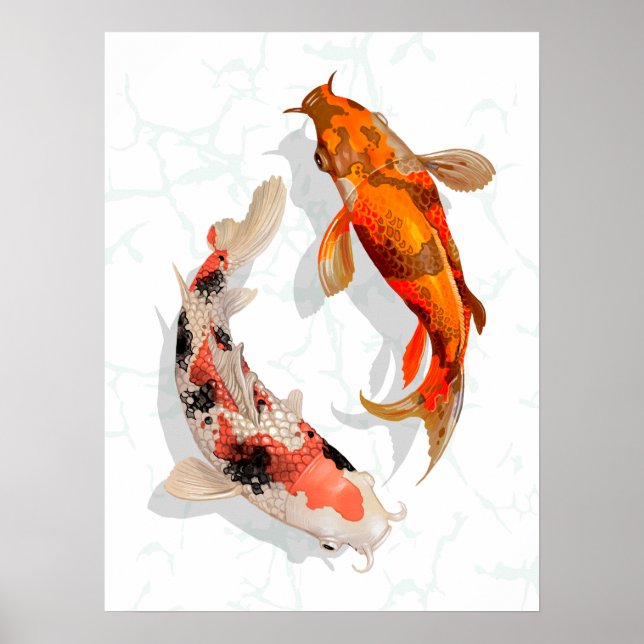 Poster Koi Pond (Frente)