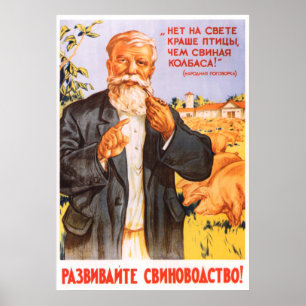 Poster Kolkhoz soviético 1955 da propaganda
