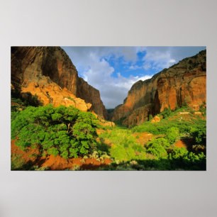 Poster Kolob Canyon no Zion Canyon na Zion National