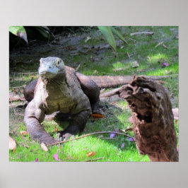 Poster Komodo Dragon (0606)
