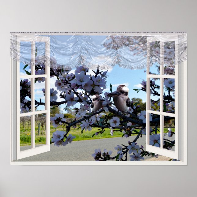 Poster Kookaburras Na Minha Janela, (Frente)