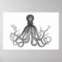 Kraken - Octopus Gigante Negro / Cthulu