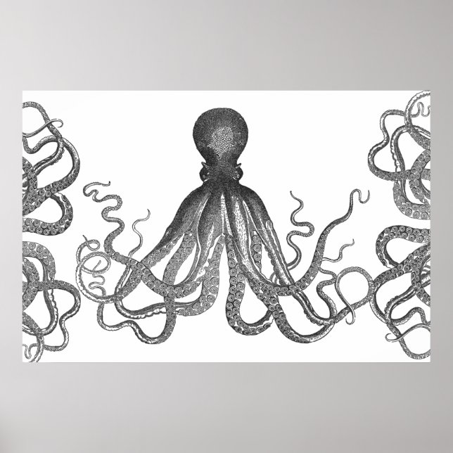 Poster Kraken - Octopus Gigante Negro / Cthulu (Frente)
