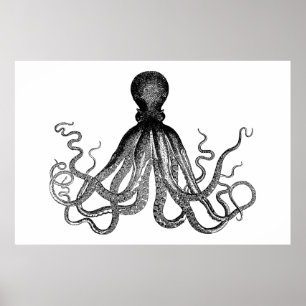 Póster Kraken - Octopus Gigante Negro (extra grande)