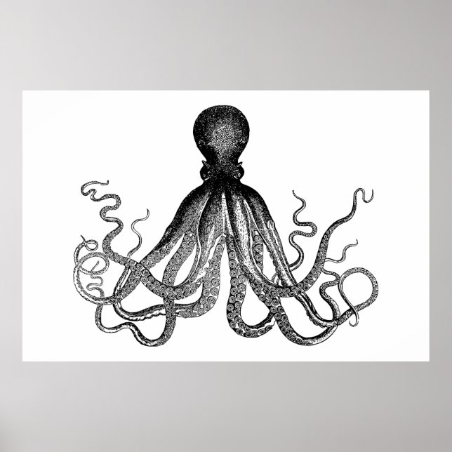 Póster Kraken - Octopus Gigante Negro (extra grande) (Frente)