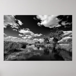 Póster Kruger Quiescence