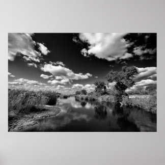 Póster Kruger Quiescence