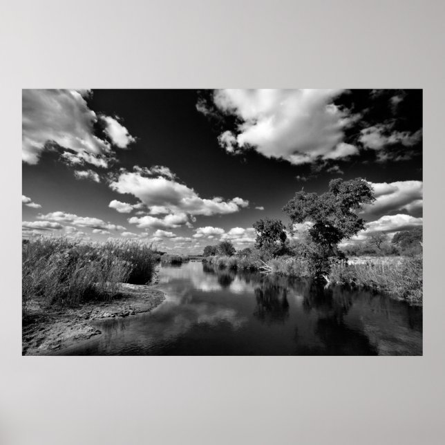 Póster Kruger Quiescence (Frente)