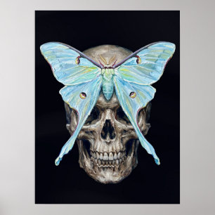 Poster kull e Luna Moth — Memento Mori Cartaz Impasto
