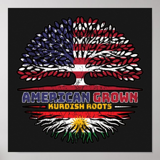Poster Kurdistan Kurdish US American USA United States Tr (Frente)