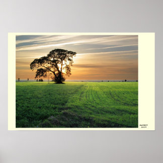 Poster Kurzemes Skati