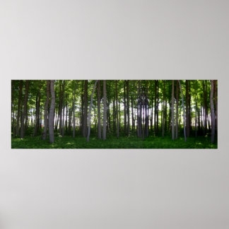 Póster Küstenschutzwald.