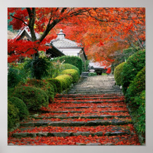 Póster Kyoto, folhas de outono