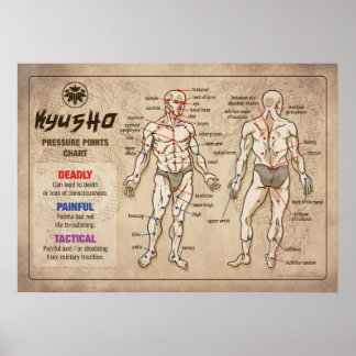 Poster Kyusho - Gráfico de Pontos de Pressão do Corpo Hum