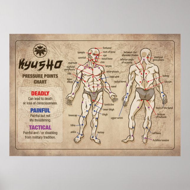 Poster Kyusho - Gráfico de Pontos de Pressão do Corpo Hum (Frente)
