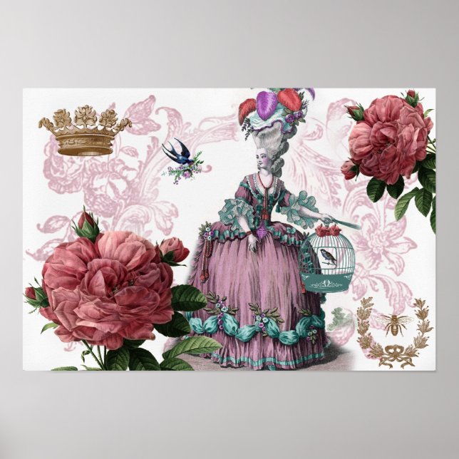 Póster la cage aux oiseaux (Birdcage) (Frente)