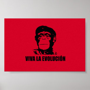 Póster La Evolucion de Viva
