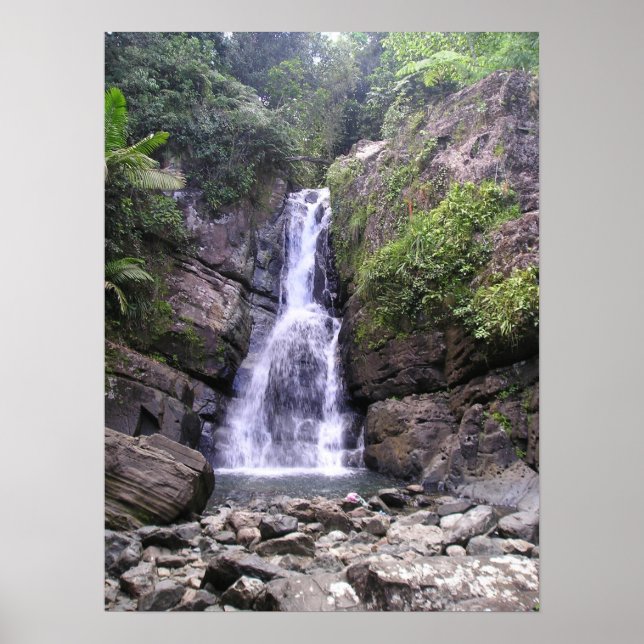 Poster La Myna Falls (Frente)