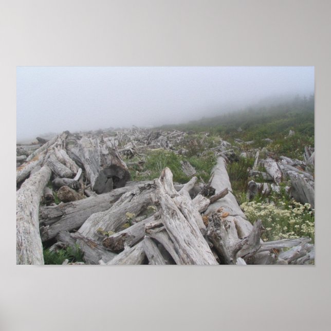 Póster La Push, Costa do Pacífico - WA (Frente)