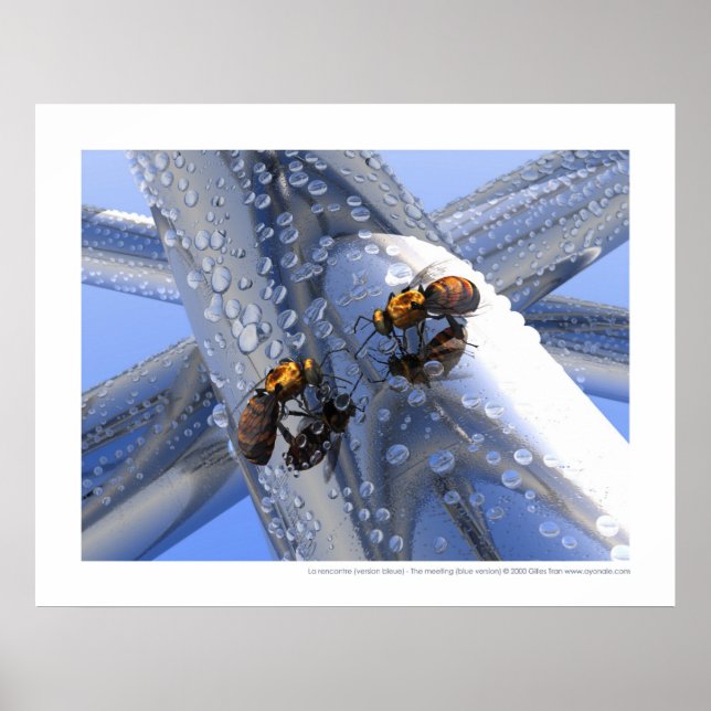Póster La rencontre - A reunião (versão azul) (Frente)