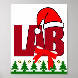 POSTER LABORATORIAL DE PAPAIS NOEIS DE NATAL