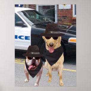 Póster Laboratório e cão engraçados de Bull