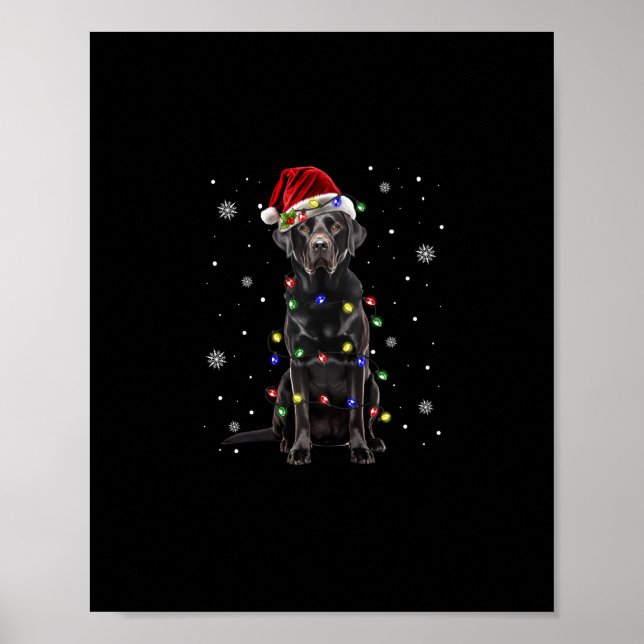 Poster laboratório negro labrador dog christmas light pap (Frente)