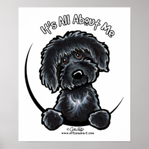 Poster Labradodle preto IAAM
