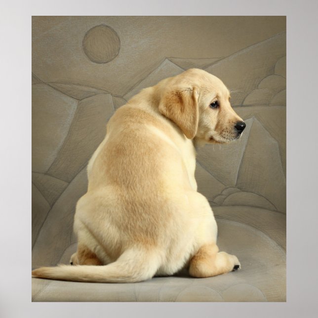 Póster Labrador Amarelo - Puppy (Frente)