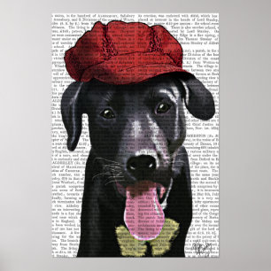Póster Labrador Preto com Boné Vermelho