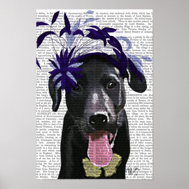 Póster Labrador Preto Com Fascinador Azul (Frente)