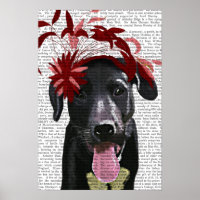 Labrador Preto Com Fascinador Vermelho